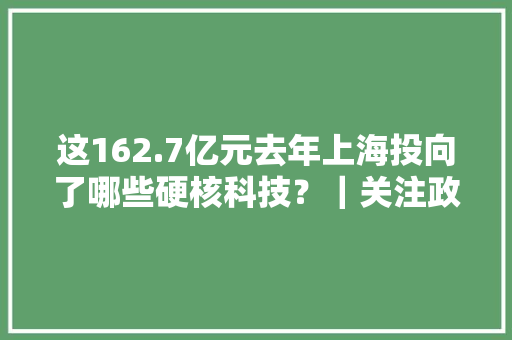 这162.7亿元去年上海投向了哪些硬核科技？｜关注政府“钱袋子”⑫