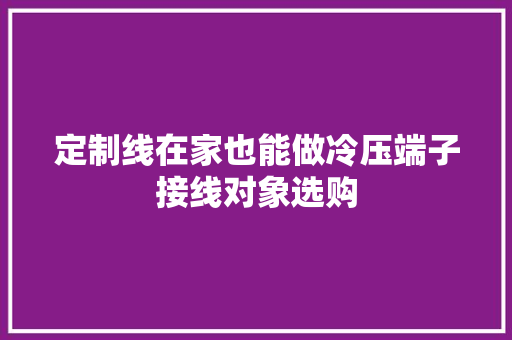 定制线在家也能做冷压端子接线对象选购,端子连接器。