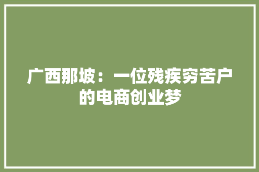 广西那坡：一位残疾穷苦户的电商创业梦