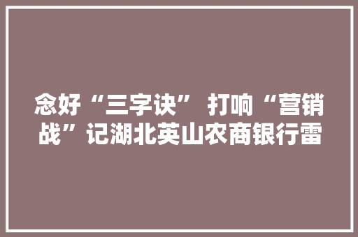 念好“三字诀” 打响“营销战”记湖北英山农商银行雷家店支行电银营销好手冯定