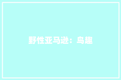 野性亚马逊：鸟趣