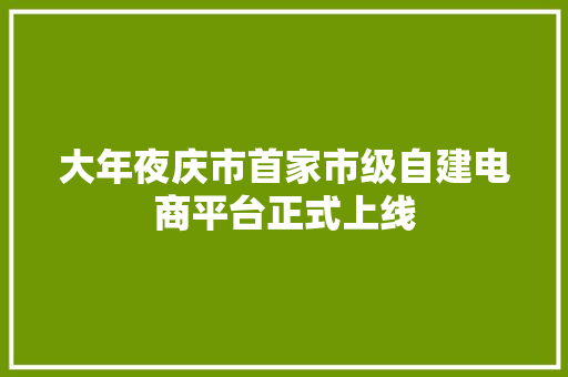 大年夜庆市首家市级自建电商平台正式上线