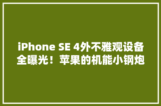 iPhone SE 4外不雅观设备全曝光！苹果的机能小钢炮来了？,iphone官网。