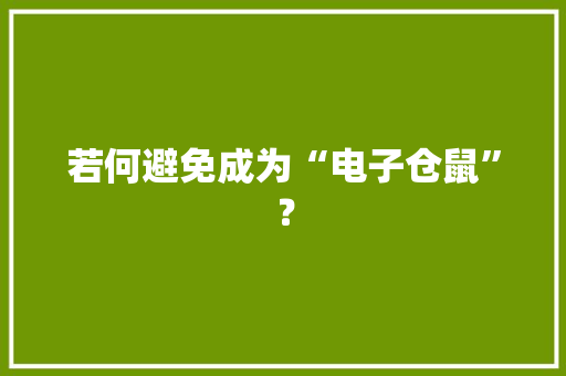 若何避免成为“电子仓鼠”？