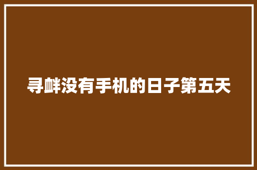 寻衅没有手机的日子第五天