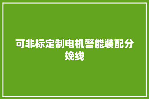 可非标定制电机警能装配分娩线