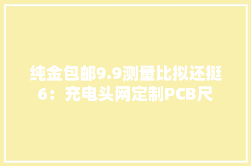 纯金包邮9.9测量比拟还挺6：充电头网定制PCB尺