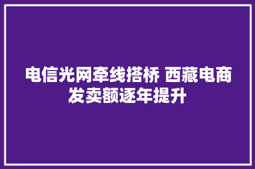 电信光网牵线搭桥 西藏电商发卖额逐年提升
