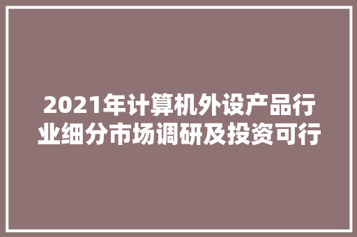 2021年计算机外设产品行业细分市场调研及投资可行性分析申报