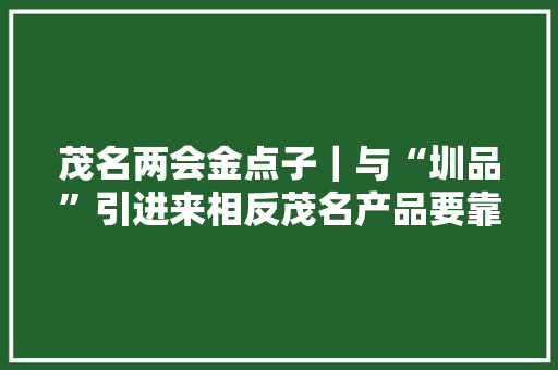 茂名两会金点子｜与“圳品”引进来相反茂名产品要靠“信”字号走出去