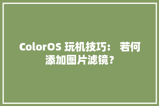 ColorOS 玩机技巧:   若何添加图片滤镜？