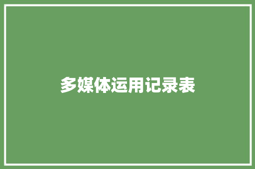 多媒体运用记录表
