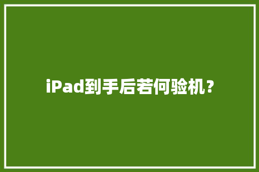 iPad到手后若何验机？