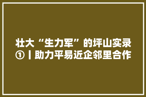 壮大“生力军”的坪山实录①丨助力平易近企邻里合作成“嘉话”