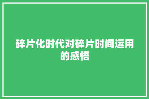 碎片化时代对碎片时间运用的感悟