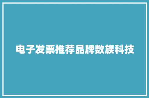 电子发票推荐品牌数族科技,渠道是什么意思。