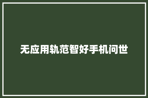 无应用轨范智好手机问世