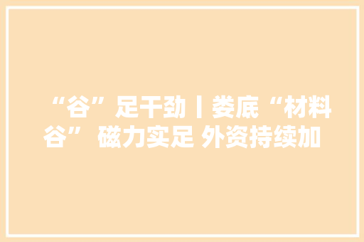 “谷”足干劲丨娄底“材料谷” 磁力实足 外资持续加码“钢铁新材”
