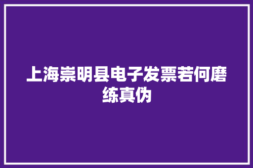 上海崇明县电子发票若何磨练真伪