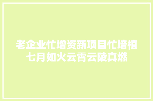 老企业忙增资新项目忙培植七月如火云霄云陵真燃