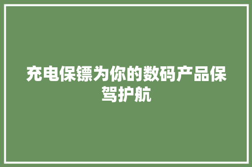 充电保镖为你的数码产品保驾护航