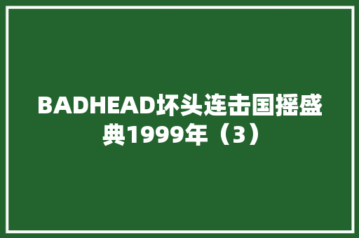 BADHEAD坏头连击国摇盛典1999年（3）