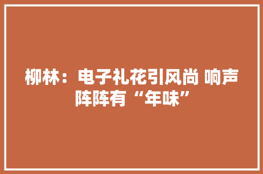 柳林：电子礼花引风尚 响声阵阵有“年味”