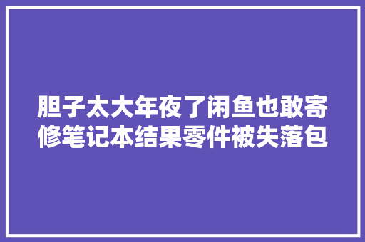 胆子太大年夜了闲鱼也敢寄修笔记本结果零件被失落包掉落 在维修领域