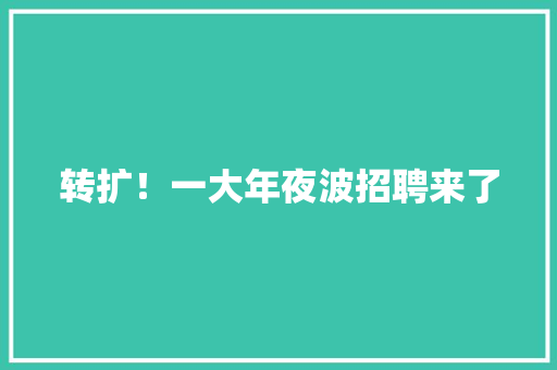 转扩！一大年夜波招聘来了,薪资算法。