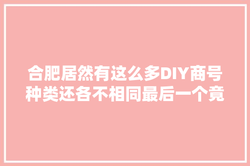 合肥居然有这么多DIY商号种类还各不相同最后一个竟然是