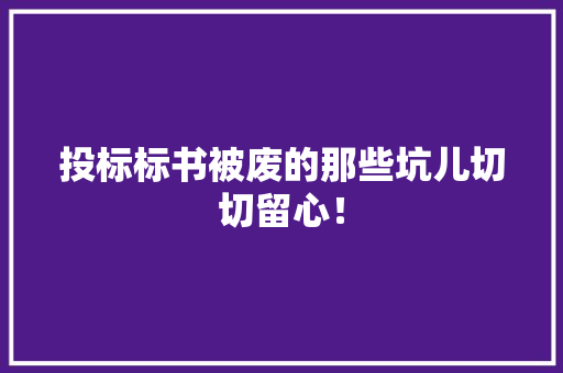 投标标书被废的那些坑儿切切留心！