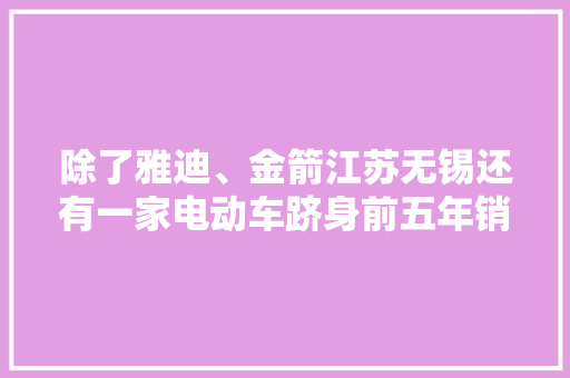 除了雅迪、金箭江苏无锡还有一家电动车跻身前五年销210万辆