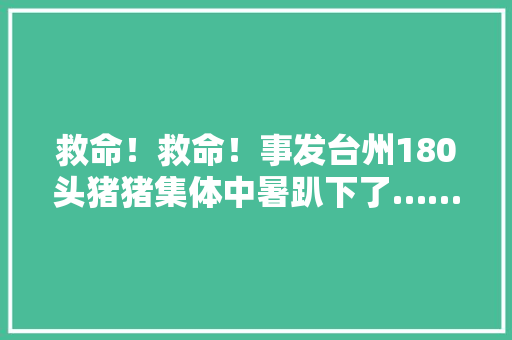 救命！救命！事发台州180头猪猪集体中暑趴下了……,生猪价格今日猪价。