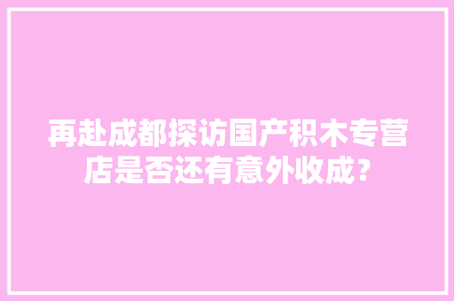 再赴成都探访国产积木专营店是否还有意外收成？