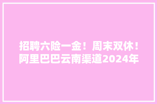 招聘六险一金！周末双休！阿里巴巴云南渠道2024年社会招聘通知书记
