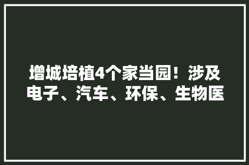 增城培植4个家当园！涉及电子、汽车、环保、生物医药......,家当是什么意思。