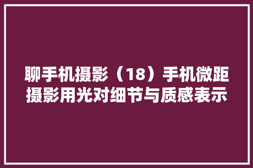 聊手机摄影（18）手机微距摄影用光对细节与质感表示的重要浸染,拍照翻译。