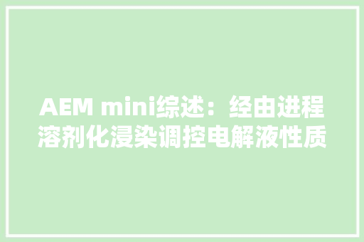AEM mini综述：经由进程溶剂化浸染调控电解液性质和氧化还原反应