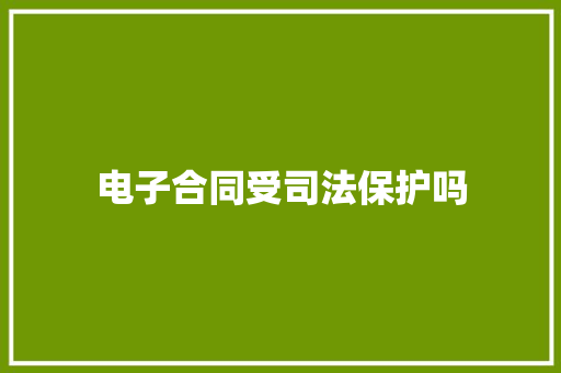 电子合同受司法保护吗