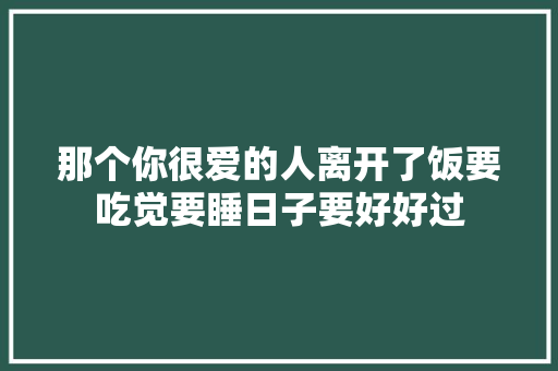 那个你很爱的人离开了饭要吃觉要睡日子要好好过