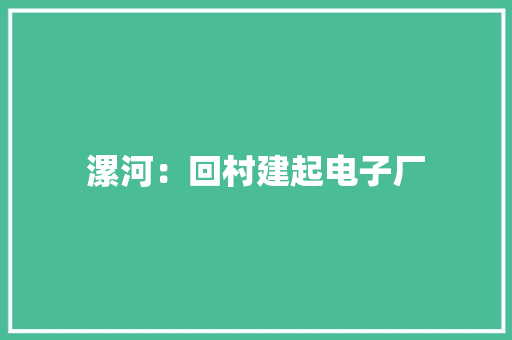 漯河：回村建起电子厂