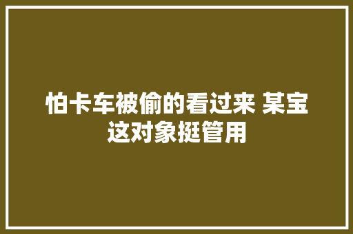 怕卡车被偷的看过来 某宝这对象挺管用