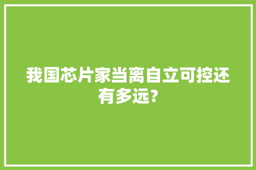 我国芯片家当离自立可控还有多远？,家当是什么意思。