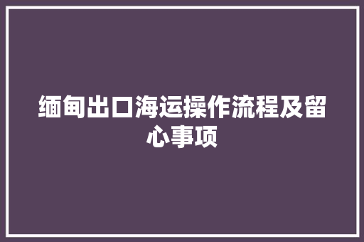 缅甸出口海运操作流程及留心事项