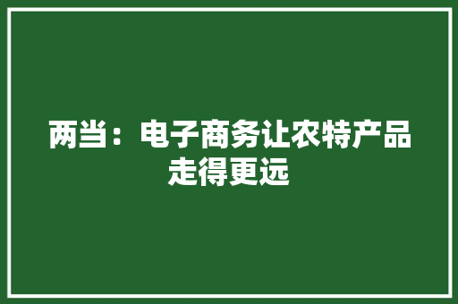 两当：电子商务让农特产品走得更远