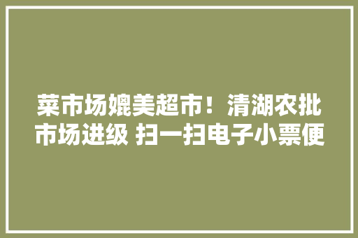 菜市场媲美超市！清湖农批市场进级 扫一扫电子小票便可溯源,市场监督管理局。