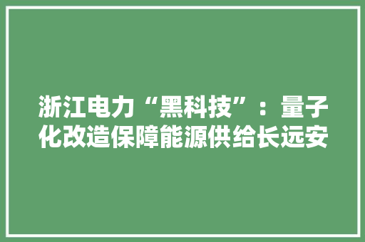 浙江电力“黑科技”：量子化改造保障能源供给长远安然