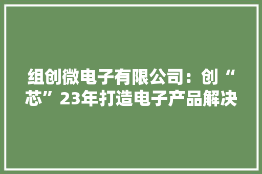 组创微电子有限公司：创“芯”23年打造电子产品解决筹划商