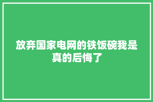 放弃国家电网的铁饭碗我是真的后悔了,自由职业社保怎么交。