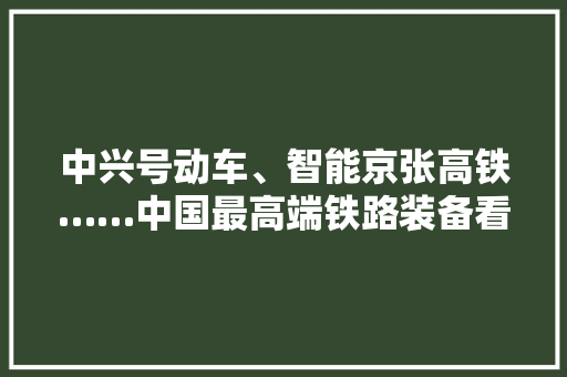 中兴号动车、智能京张高铁……中国最高端铁路装备看这里